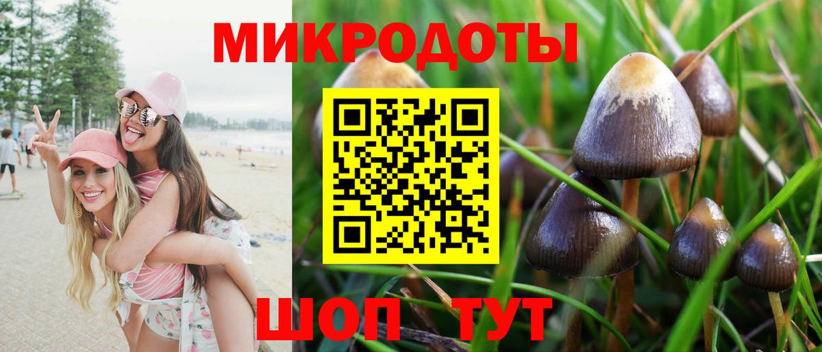 Псилоцибиновые грибы ЛСД  Галлюциногенные грибы мухоморы  Вход с VPN  как найти наркотики  Качканар 